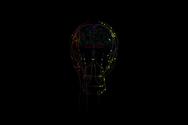 Anatomieunterricht